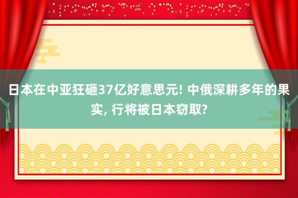 日本在中亚狂砸37亿好意思元! 中俄深耕多年的果实, 行将被日本窃取?